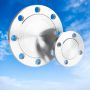 Blind flange/stainless steel body flanged